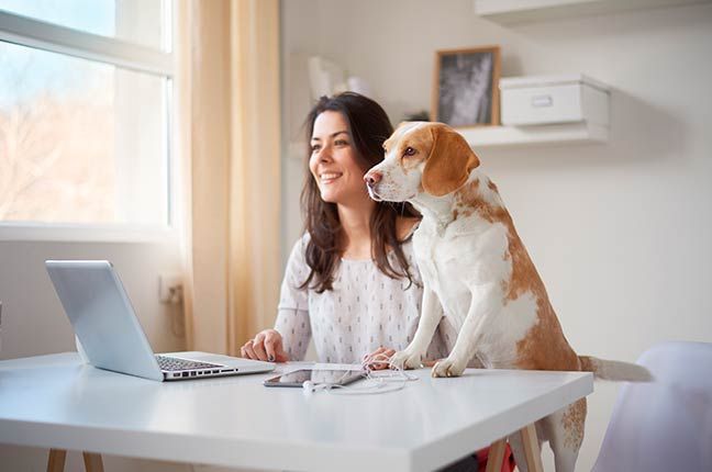 como organizar o home office